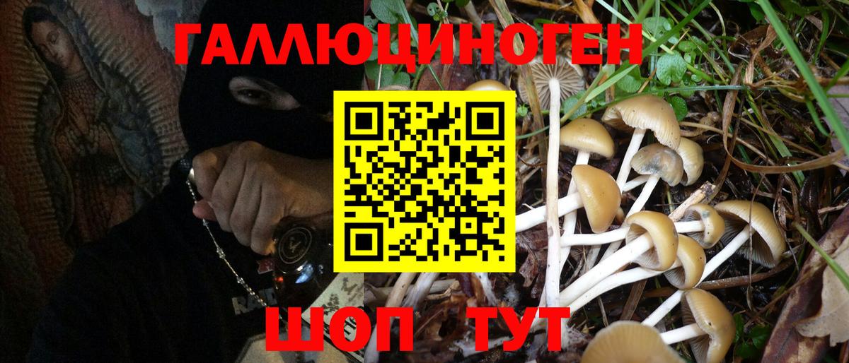 Псилоцибиновые грибы GOLDEN TEACHER Партизанск