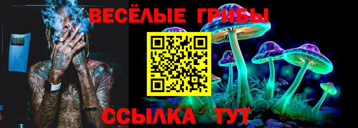 закладка  Вход с VPN  Псилоцибиновые грибы мухоморы  Партизанск  Галлюциногенные грибы Psilocybe 
